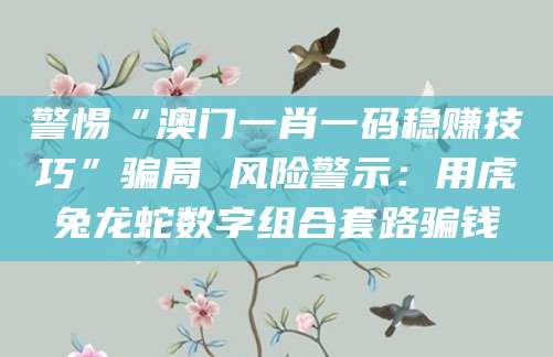 警惕“澳门一肖一码稳赚技巧”骗局 风险警示：用虎兔龙蛇数字组合套路骗钱