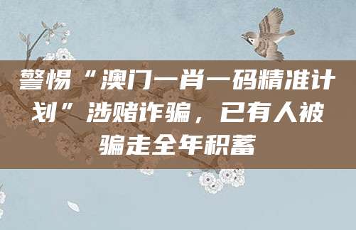 警惕“澳门一肖一码精准计划”涉赌诈骗，已有人被骗走全年积蓄