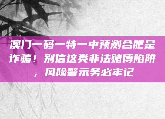 澳门一码一特一中预测合肥是诈骗！别信这类非法赌博陷阱，风险警示务必牢记