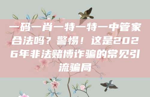 一码一肖一特一特一中管家合法吗?警惕!这是2026年非法赌博诈骗的常见引流骗局